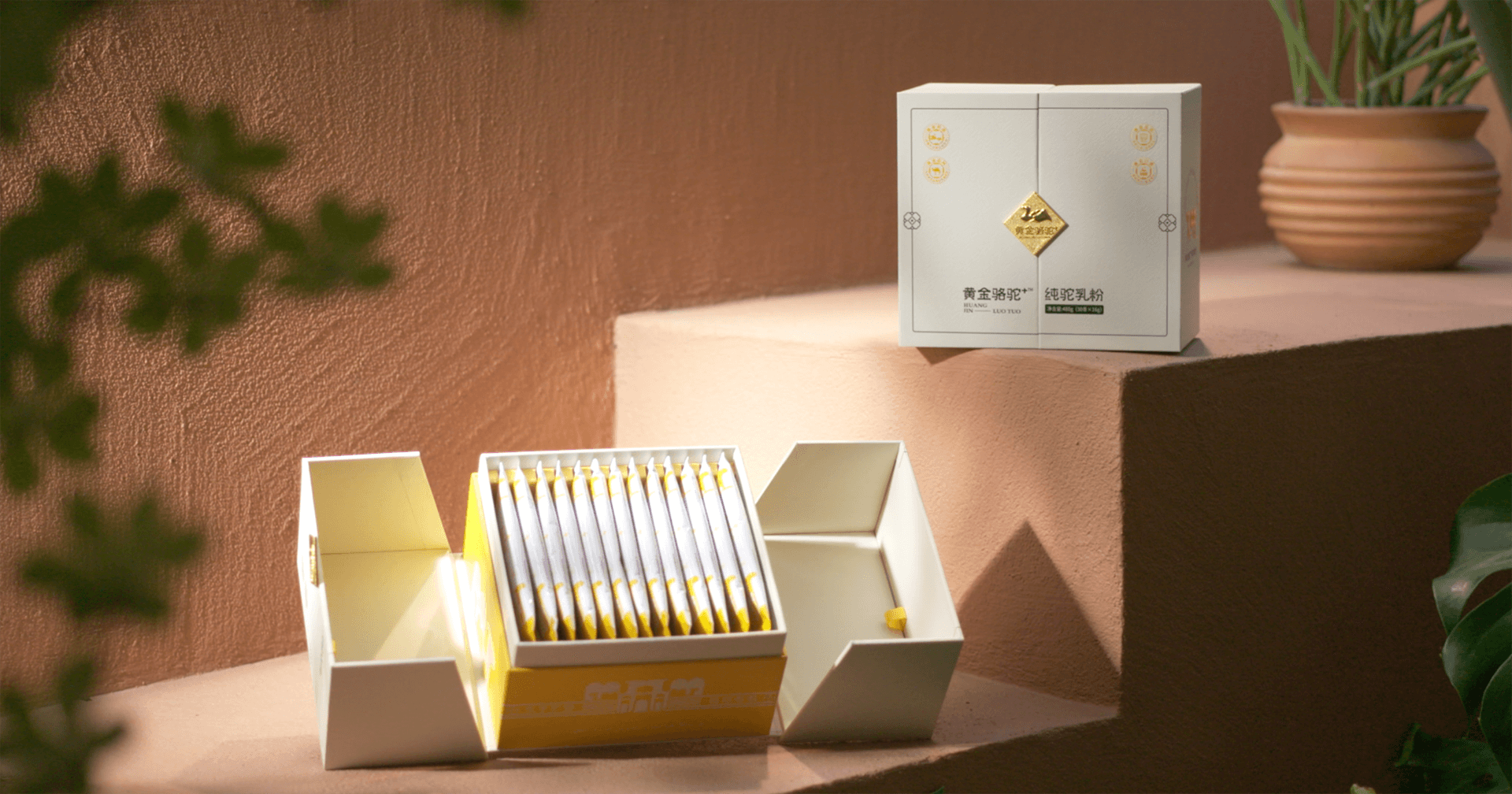 定位小众高端乳粉，AG贵宾会推出驼奶品牌“黄金骆驼+”，角逐乳品新市场！